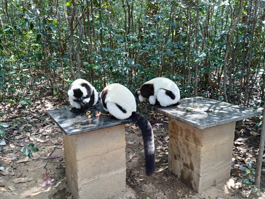 Local Encounters