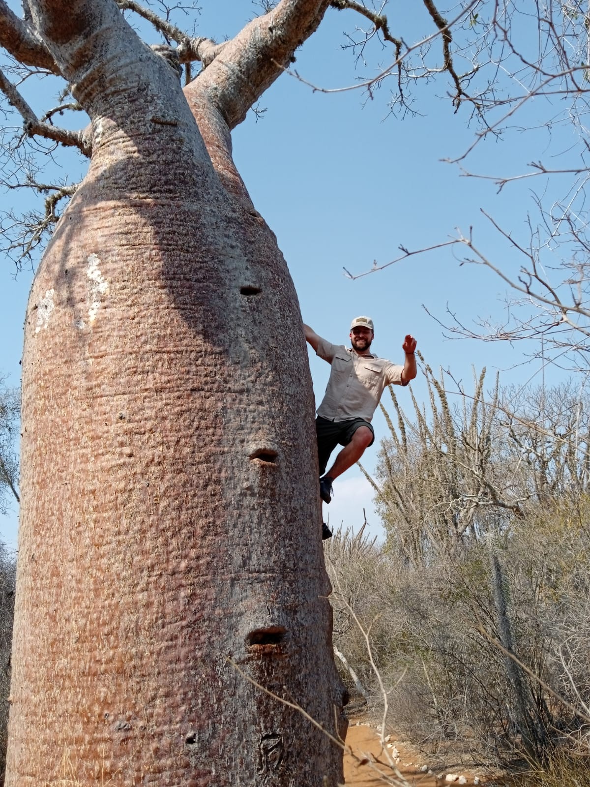 Baobab Climb