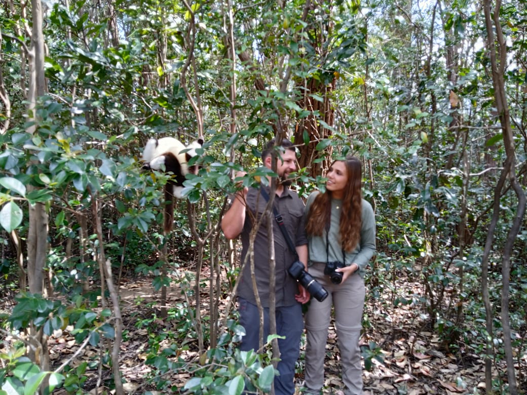 Lemur Forest Encounter