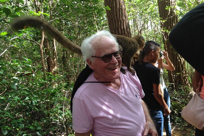 Forest Lemur Walk